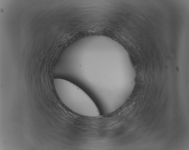 X0000076370817200610060858