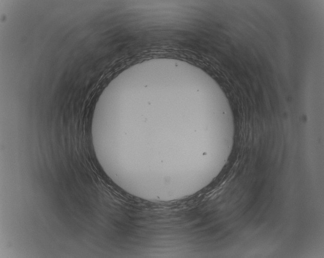 X0000076370818200610060858