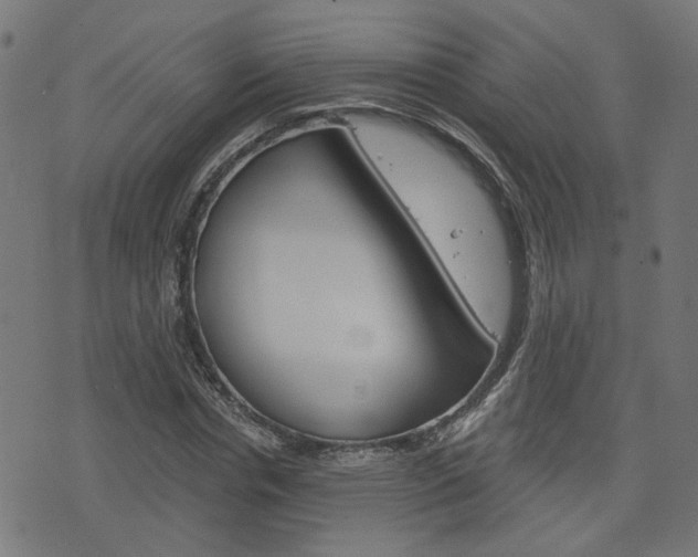 X0000076370826200610060858