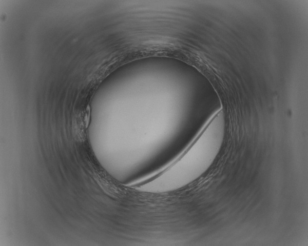 X0000076370868200610060858
