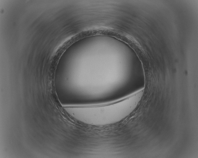 X0000076370872200610060858