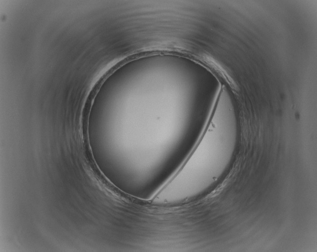 X0000076370884200610060858