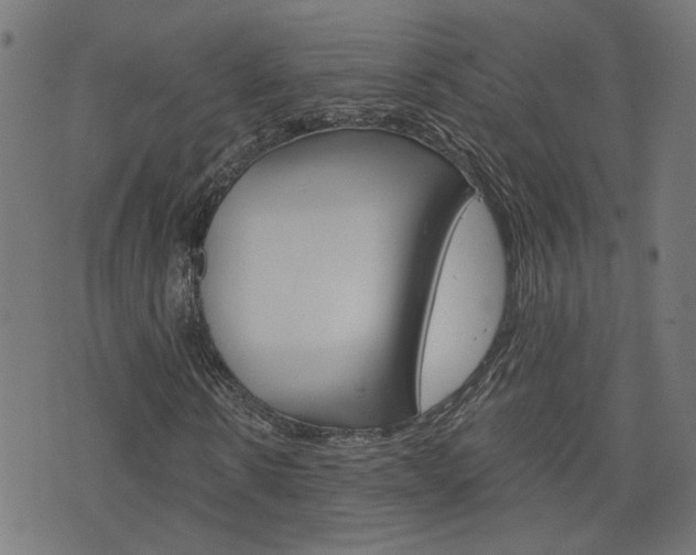 X0000076370914200610060857