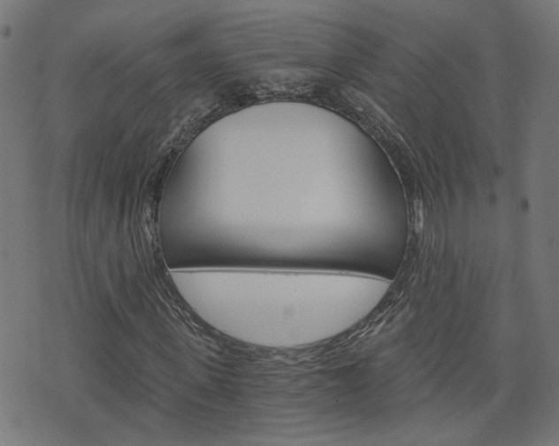 X0000076370915200610060857