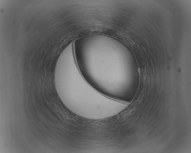 X0000076370916200610060857