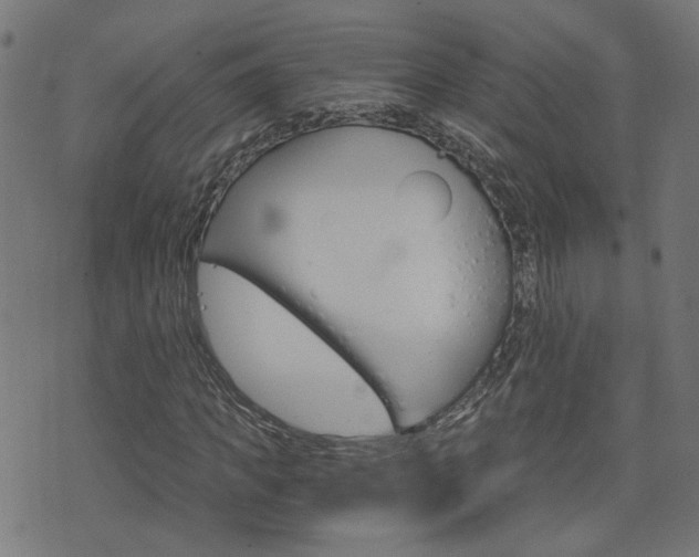X0000076370917200610060857