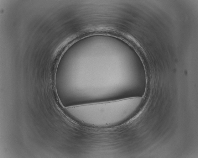 X0000076370922200610060857