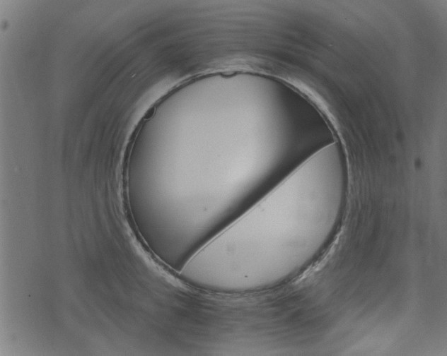 X0000076370949200610060857