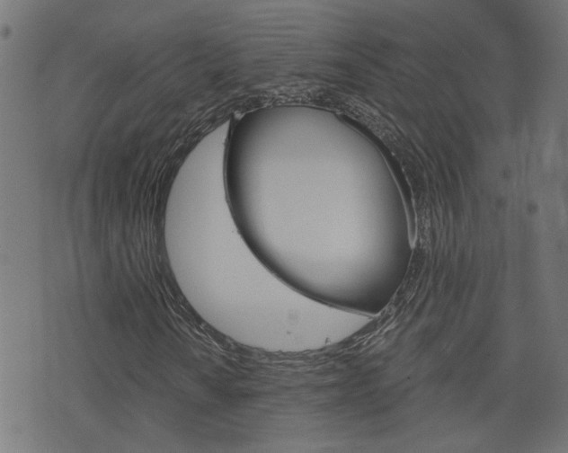X0000076371010200610060855