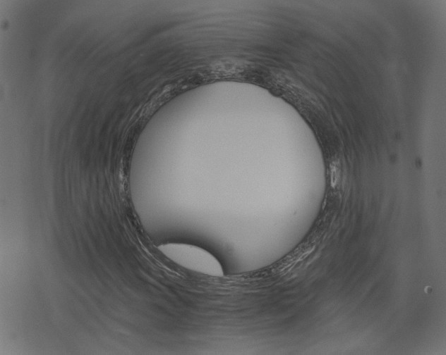 X0000076371011200610060855
