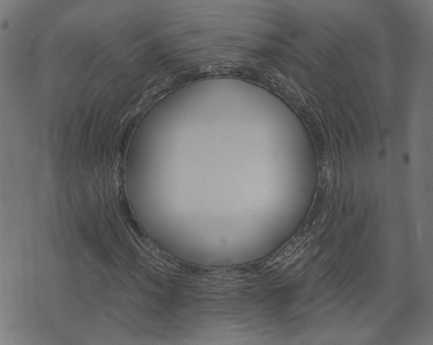 X0000076371012200610060855