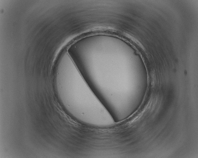 X0000076371021200610060855