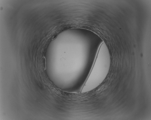 X0000076371057200610060855