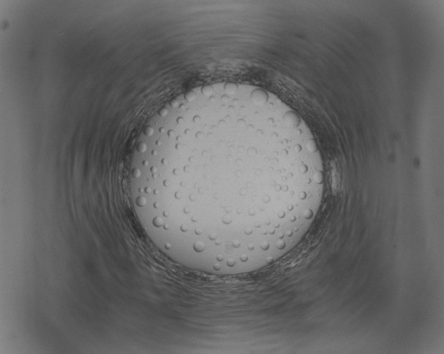 X0000076371059200610060855