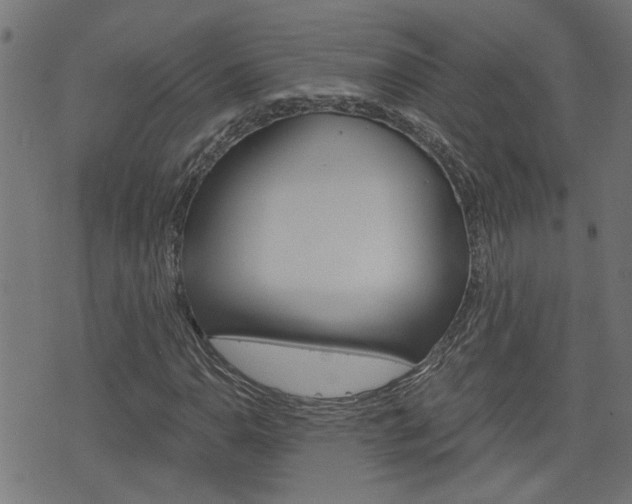 X0000076371110200610060854