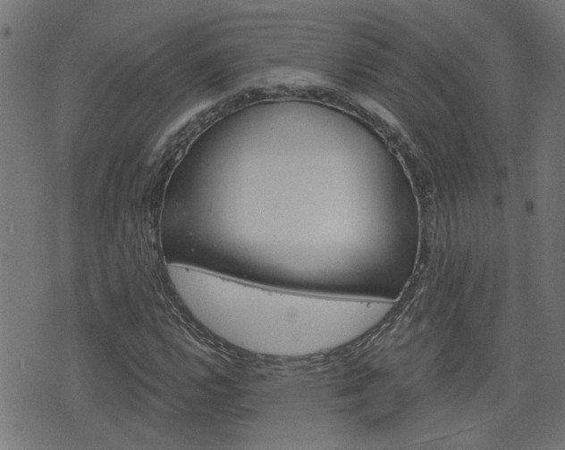 X0000076371112200610060854