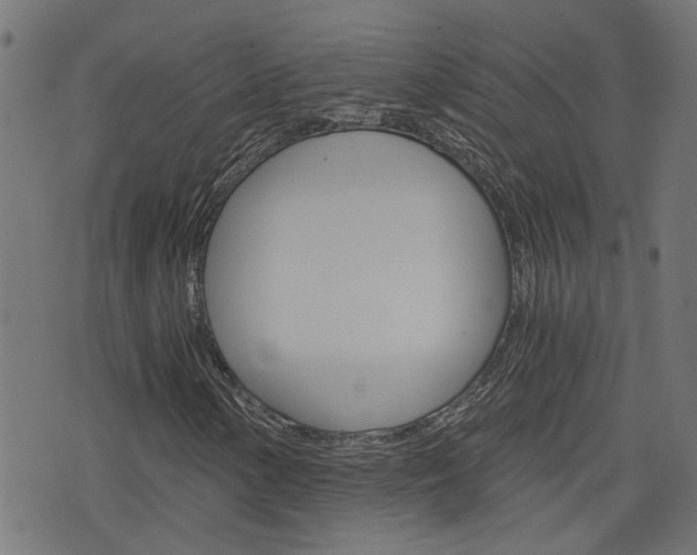 X0000076371154200610060853