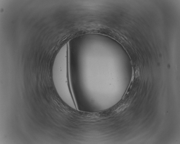X0000076371156200610060853