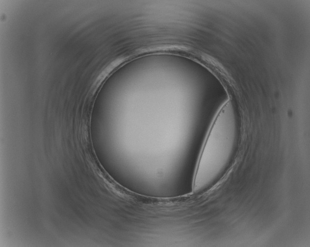 X0000076371177200610060853