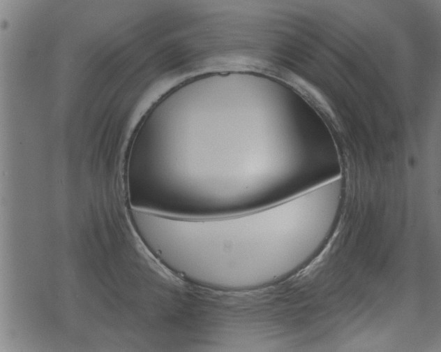 X0000076371192200610060853