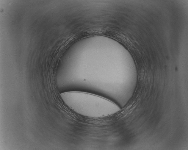 X0000076371201200610060852