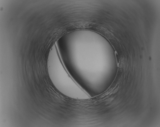 X0000076371202200610060852