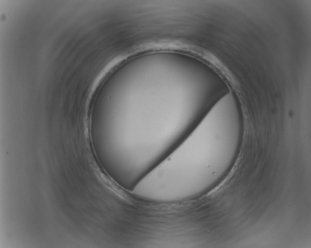 X0000076371232200610060852