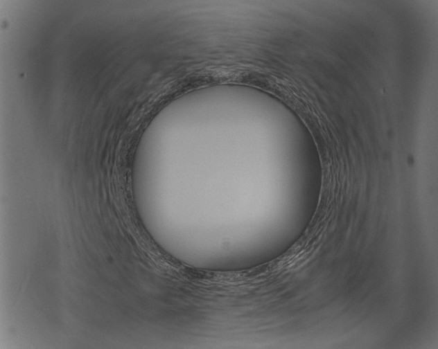 X0000076371249200610060852