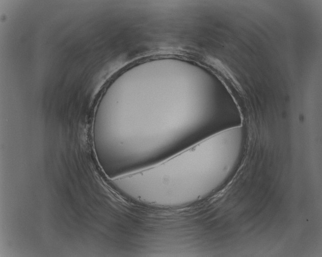X0000076371260200610060852