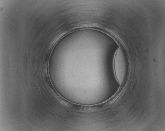 X0000076371273200610060851
