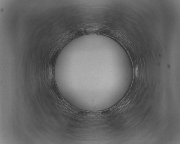X0000076371299200610060850