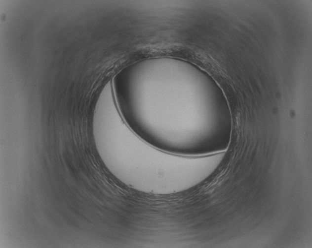 X0000076371300200610060850