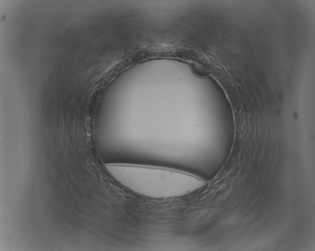 X0000076371301200610060850