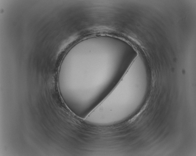 X0000076371309200610060851