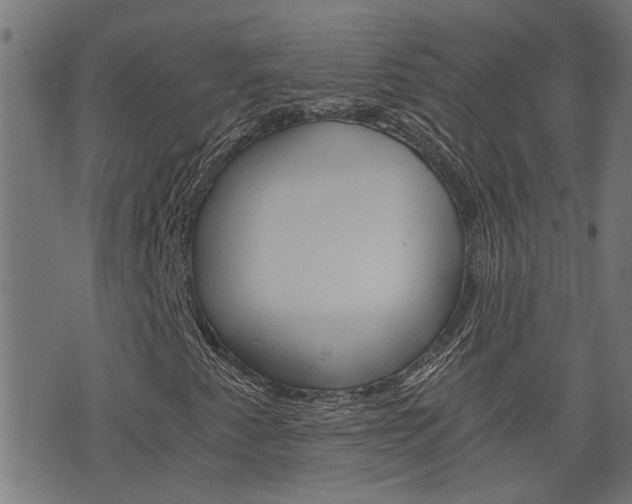 X0000076371345200610060850