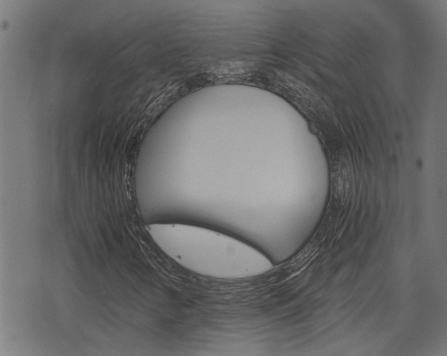 X0000076371346200610060850