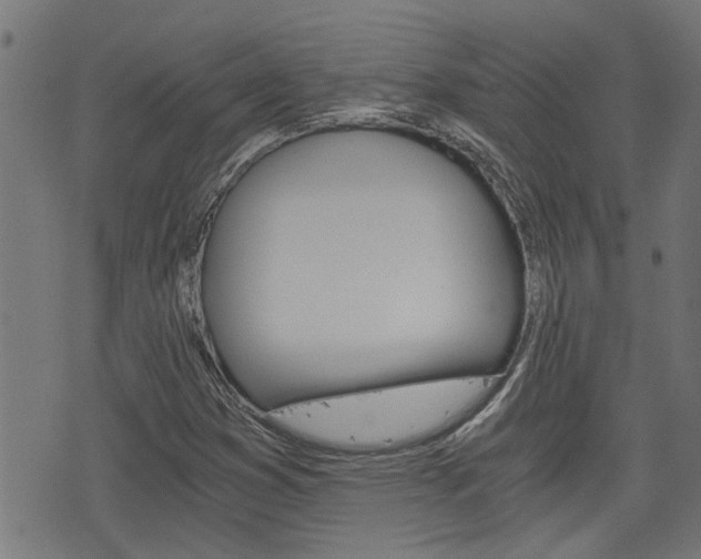 X0000076371353200610060850