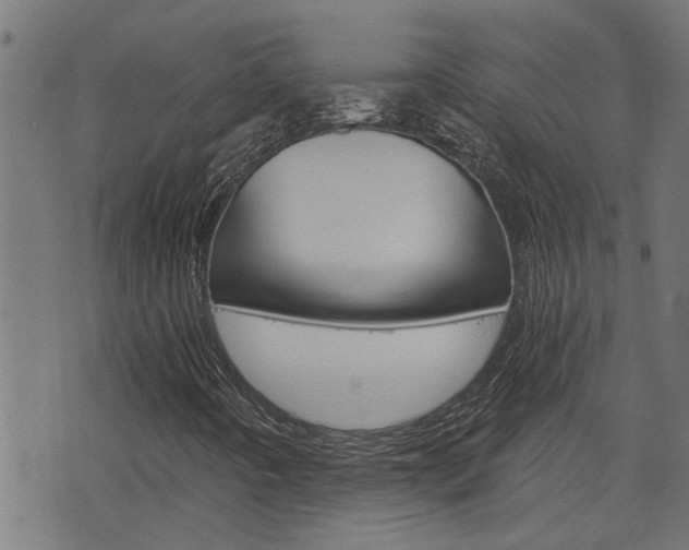 X0000076371442200610060849