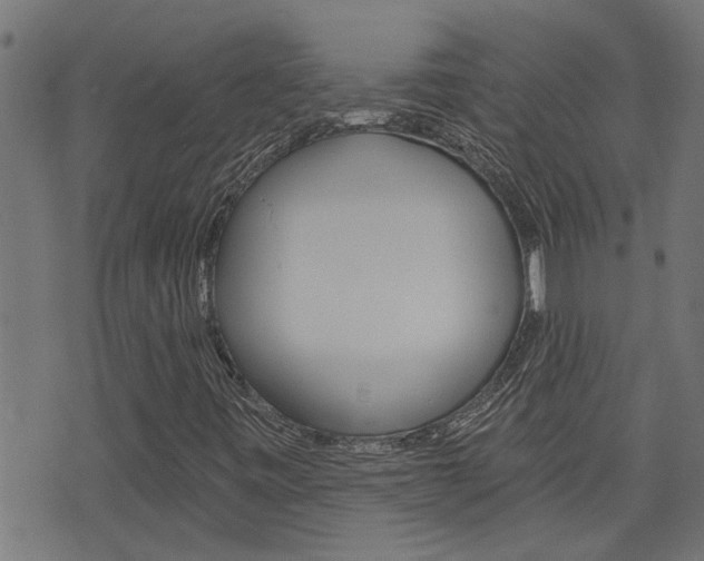 X0000076371443200610060849