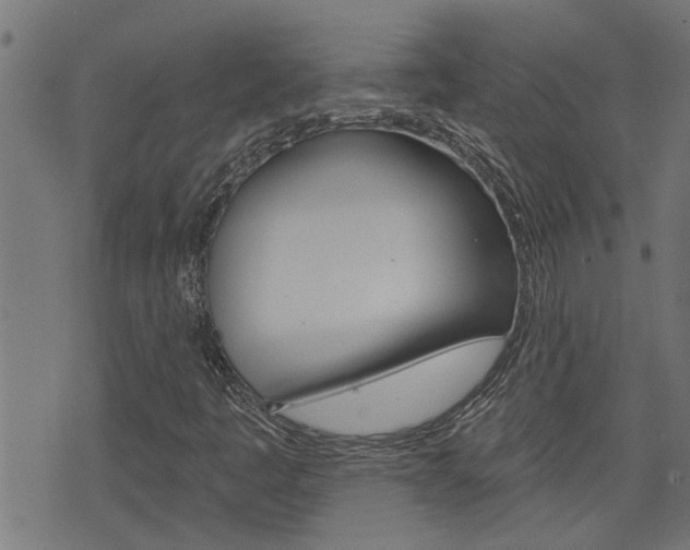 X0000076371445200610060849