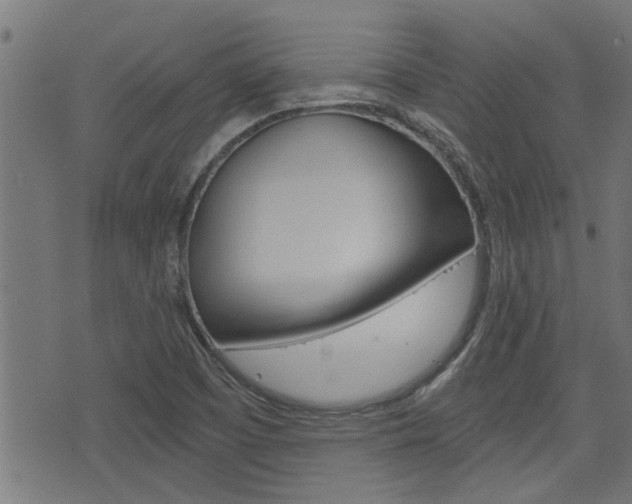 X0000076371457200610060848