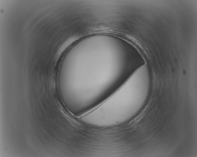 X0000076371458200610060848