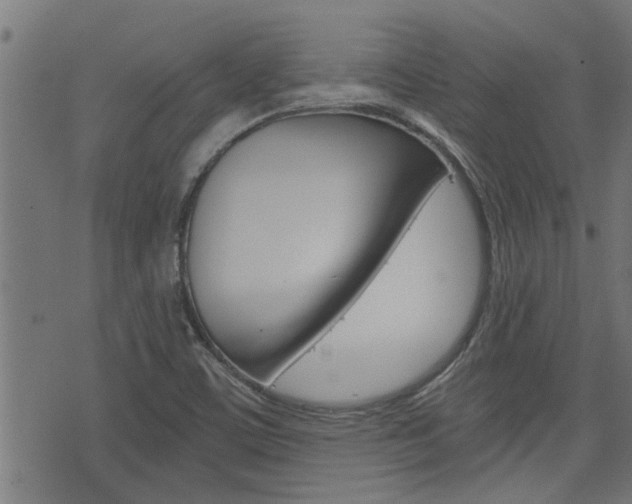 X0000076371459200610060848