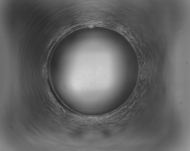 X0000076370002200610061110