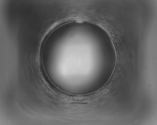 X0000076370008200610061110