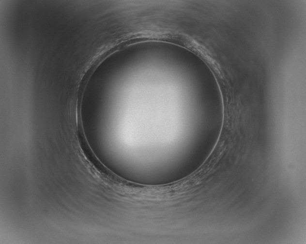 X0000076370011200610061110