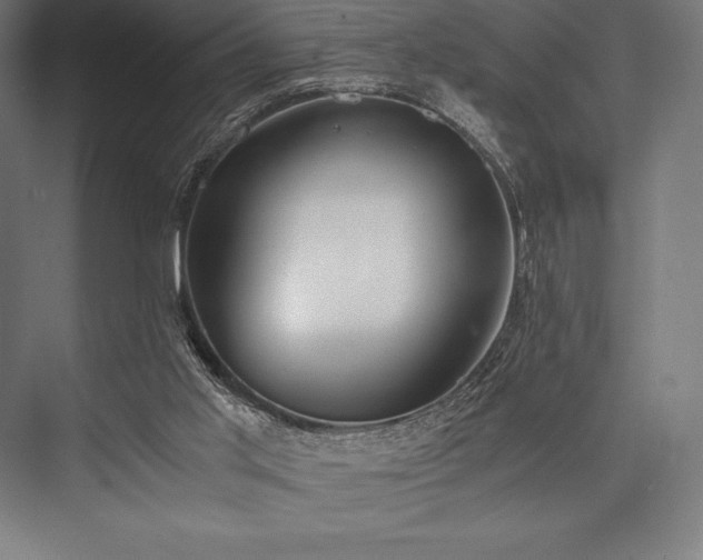 X0000076370013200610061110