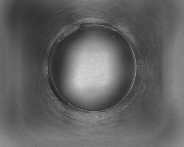 X0000076370015200610061110