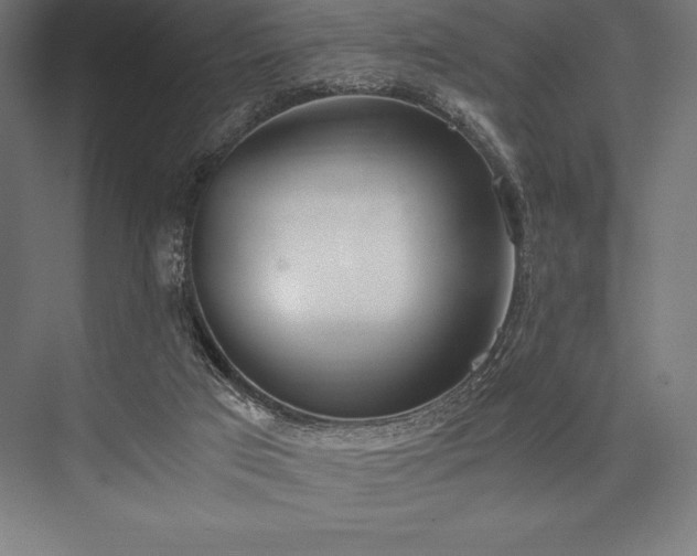 X0000076370017200610061110