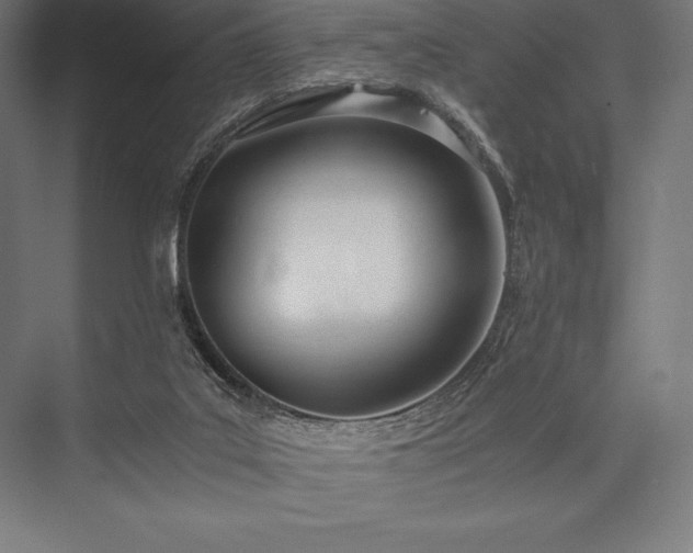 X0000076370019200610061110
